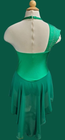 back view of green figure skating dress