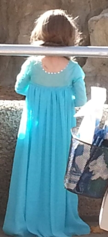 back view of a young girl wearing an Elsa costume from the movie Frozen