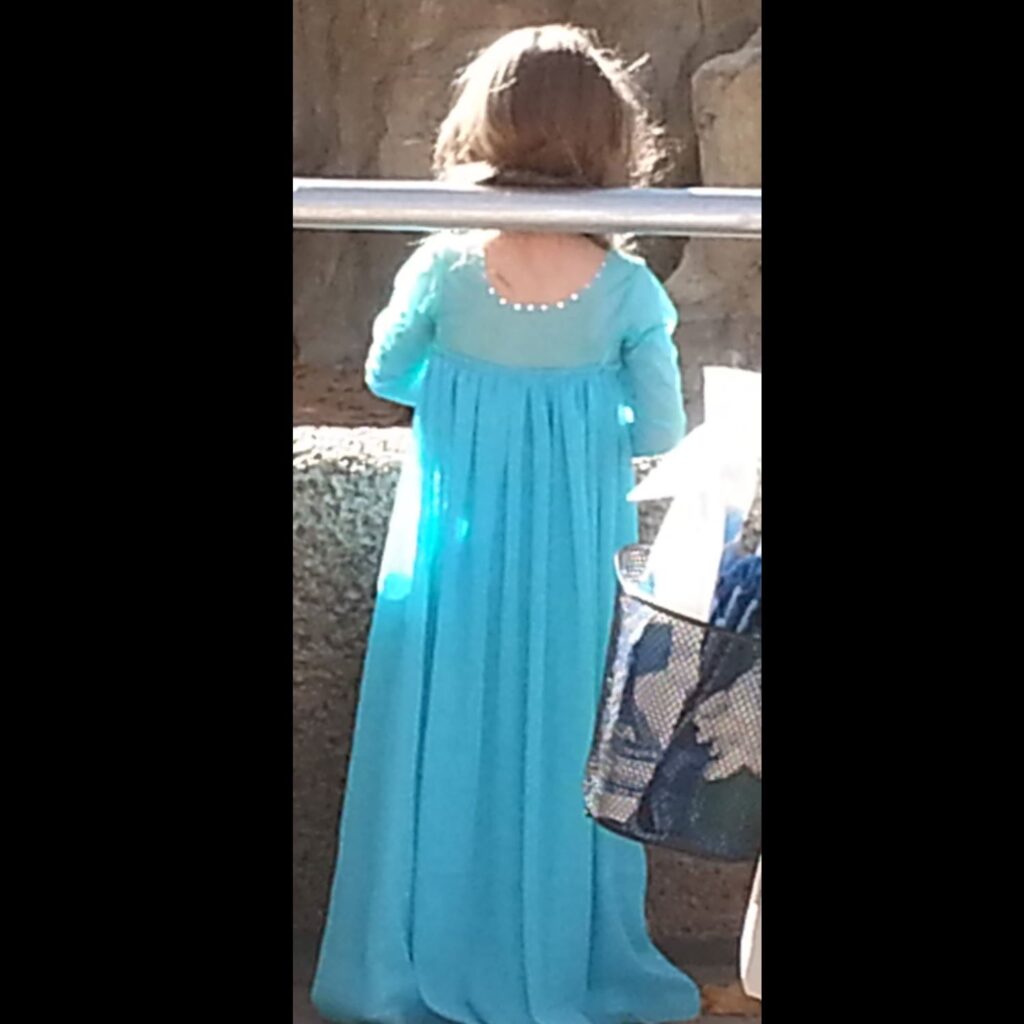 Back view of child's Elsa Costume